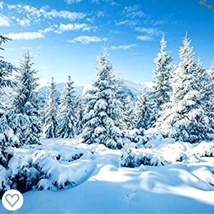 Meet your Posher, Delana